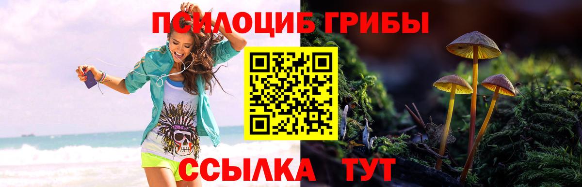 Псилоцибиновые грибы ЛСД  Вход с VPN  Югорск 